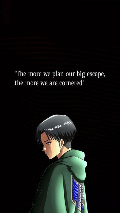 Survey Corps Hoodie Portrait Iphone Wallpaper HD