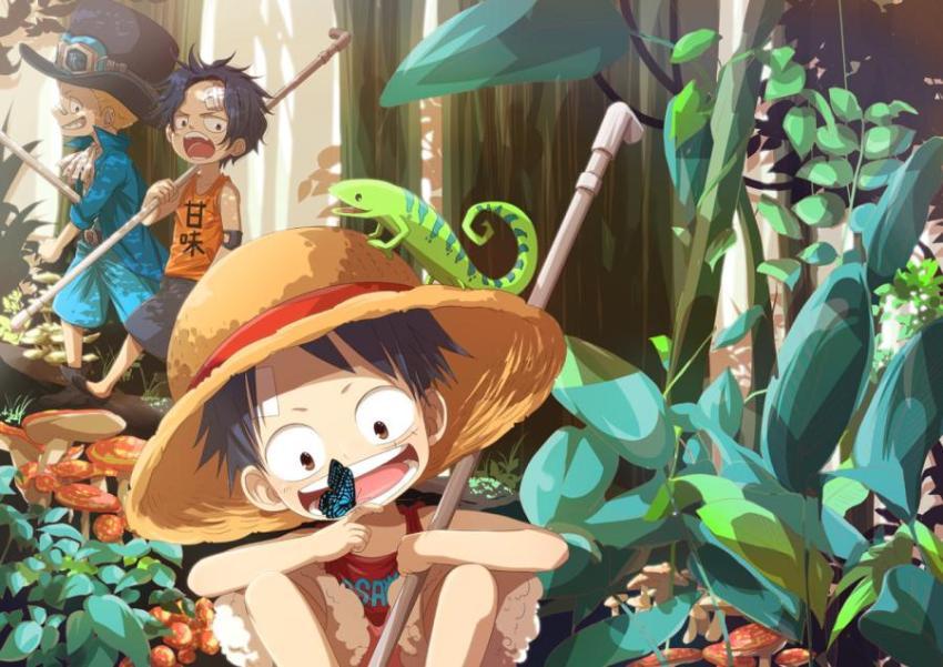 One Piece Jungle Adventure Wallpaper